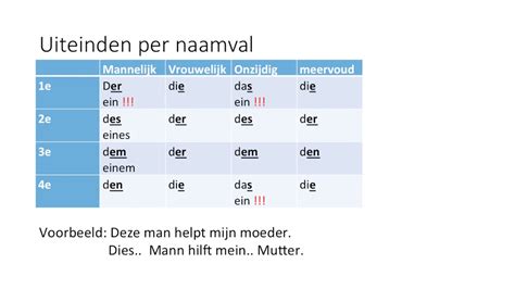 duitse naamvallen voorbeeld.